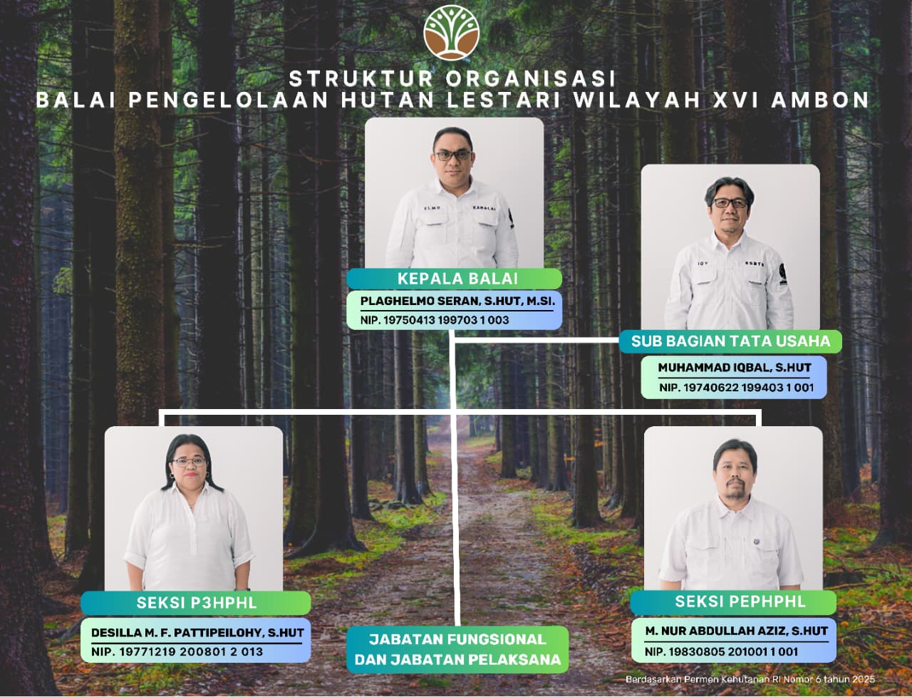 Struktur Organisasi Balai Pengelolaan Hutan Lestari Wilayah XVI Ambon